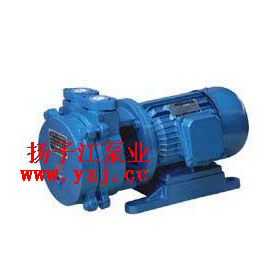 SK-0.15ֱˮhʽձ